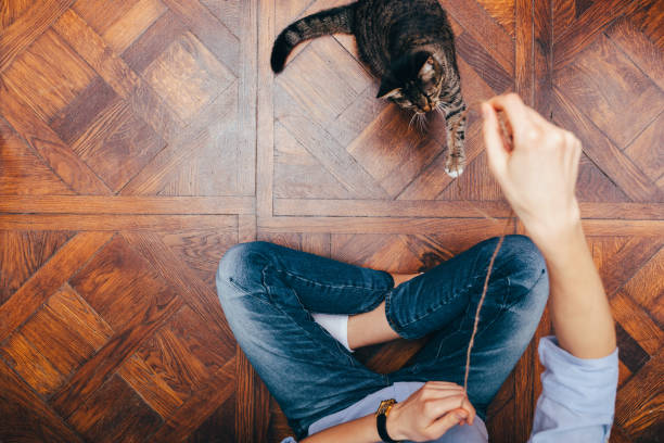 istock Woman and cat 1132144530