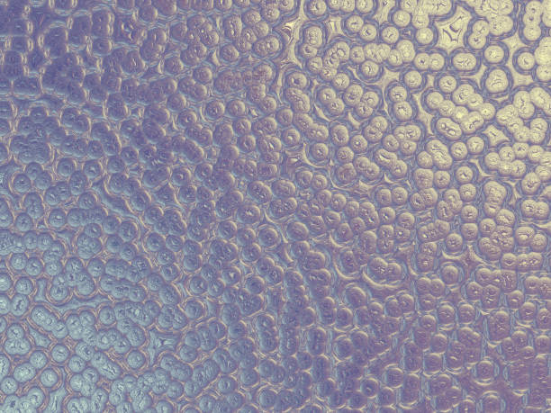 Ombre Gold Bronze Gray Brown Black Abstract Bubble Background Gradient Vintage Spotted Pattern Texture Computer Graphic Art