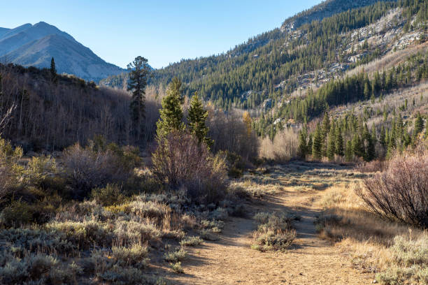istock dirt road into autumn mountain landscape California 1132146701
