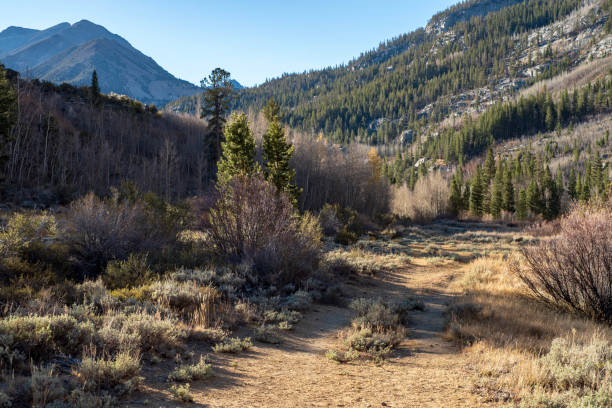 istock dirt road into autumn mountain landscape California 1132146702