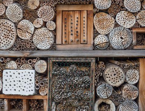 Insect hotel made from wood for various kinds of insect