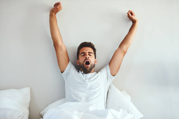 istock Time to wake up mister 1132153757