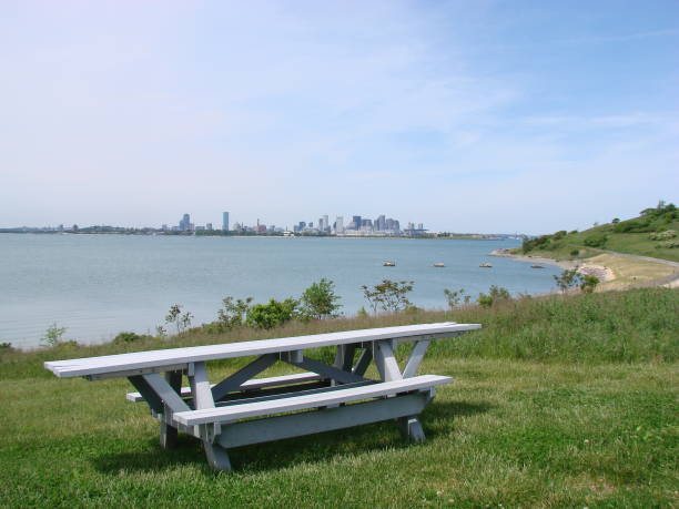 istock Boston Skyline from Spectacle Island 1132162536