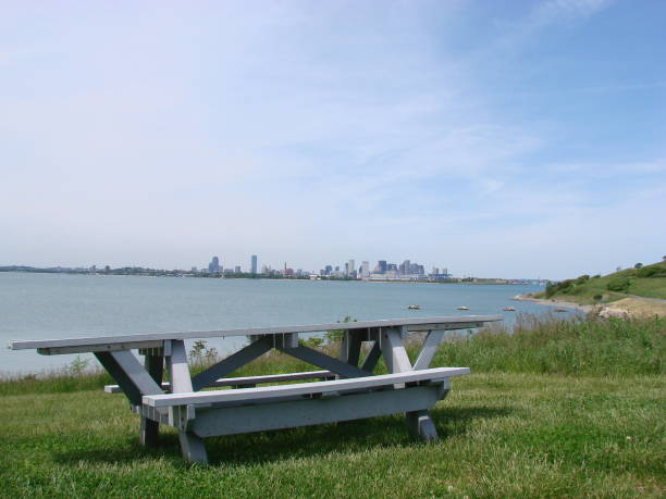 istock Boston Skyline from Spectacle Island 1132162637