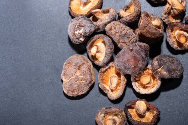 il fungo essiccato e lo sfondo nero - shiitake mushroom mushroom dried food dried plant foto e immagini stock