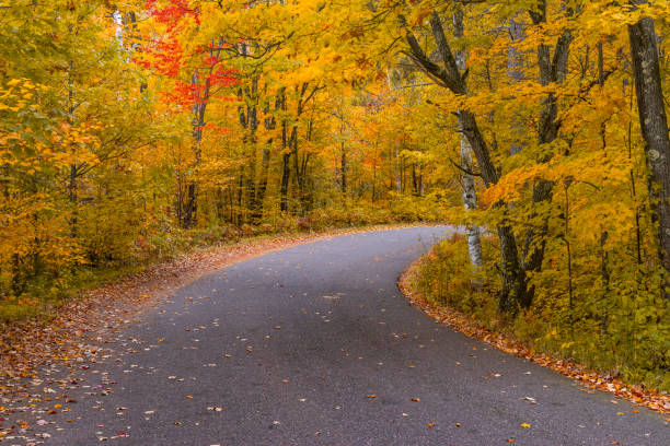 istock Fall Colors in Northern Wisconsin 1132165403