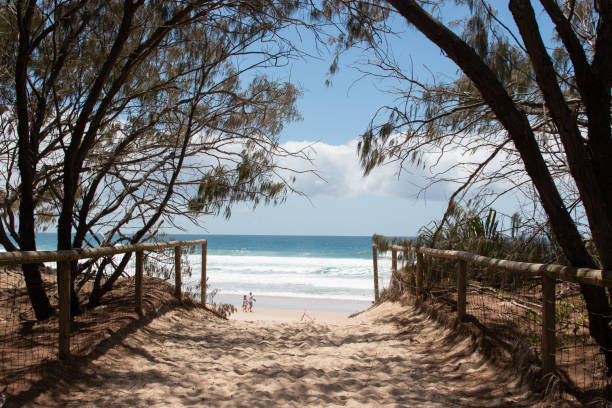 istock walk through tree tunnel to get the beach 2 people walking beach 1132167125