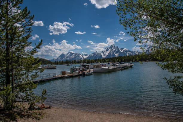 istock Landscape of the Tetons 1132167178