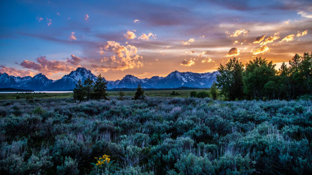 istock Landscape of the Tetons 1132167424