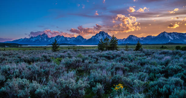 istock Landscape of the Tetons 1132168112