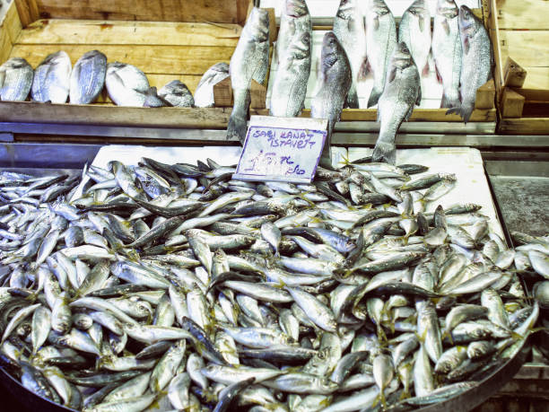 istock Fish market with fresh seafood on stall 1132168134
