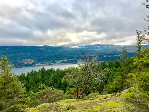 istock Top of The Notch 1132175385