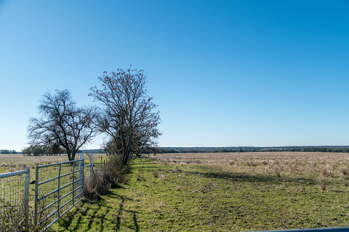 View of Open Farm Land With White Gate next to Trees