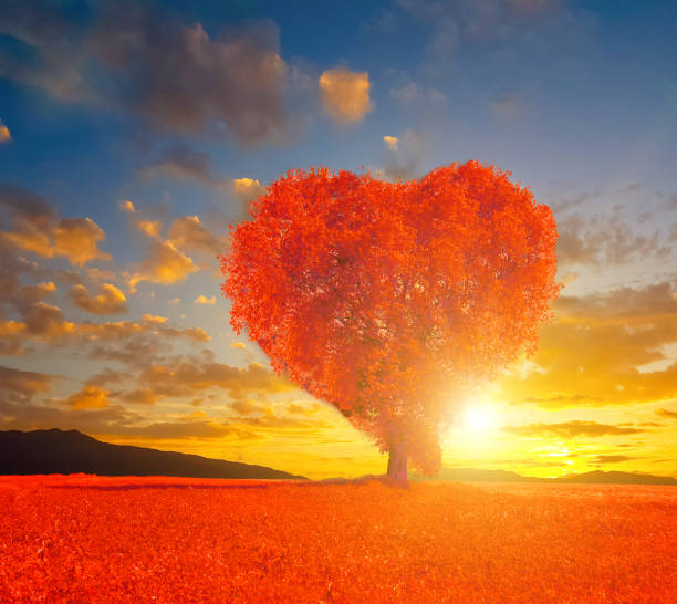 istock heart red valentine tree meadow sky isolated  for background 1132179547
