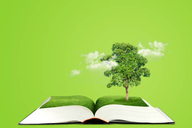 istock Ecology Concept : Green tree growth thru from opened book in hand. 1132180405