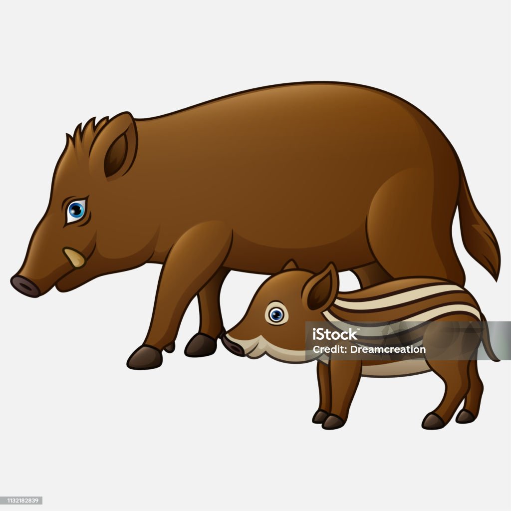 Cartoon wild boar and piglet Illustration of Cartoon wild boar and piglet Animal stock vector