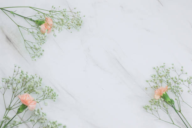 istock Gypsophila and carnation  flowers frame 1132183844