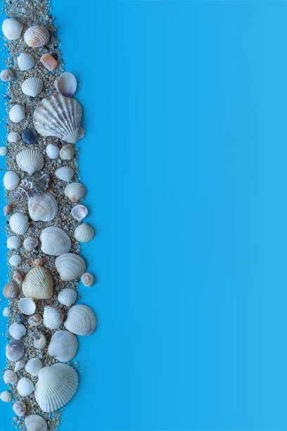 istock Seashells and Sea sand on blue background. 1132185072