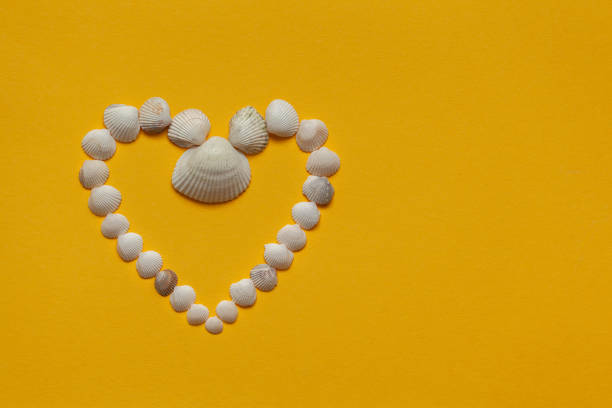 istock Seashells in the shape of a heart on a yellow background. 1132185073