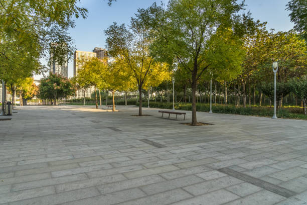 istock Empty square floor and green forest nature landscape 1132185390
