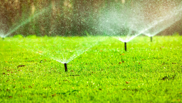 istock Automatic lawn sprinkler watering green grass. Sprinkler with automatic system. Garden irrigation system watering lawn. Water saving or water conservation from sprinkler system with adjustable head. 1132185917