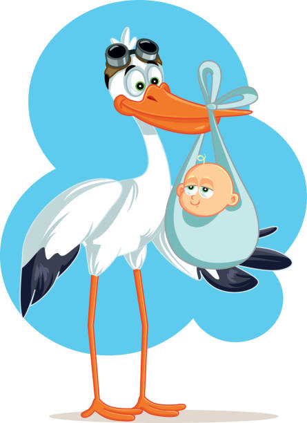 Stork Carrying a Cute Baby Boy in a Bag Funny pregnancy announcement baby shower invitation card kids snow suits stock illustrations