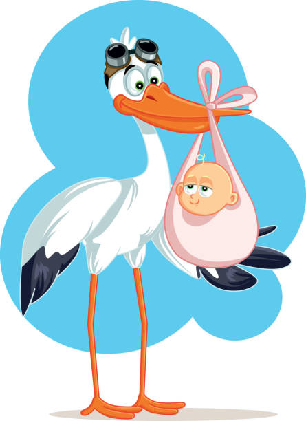 Stork Carrying a Cute Baby Girl in a Bag Funny pregnancy announcement baby shower invitation card funny pregnancy announcements stock illustrations