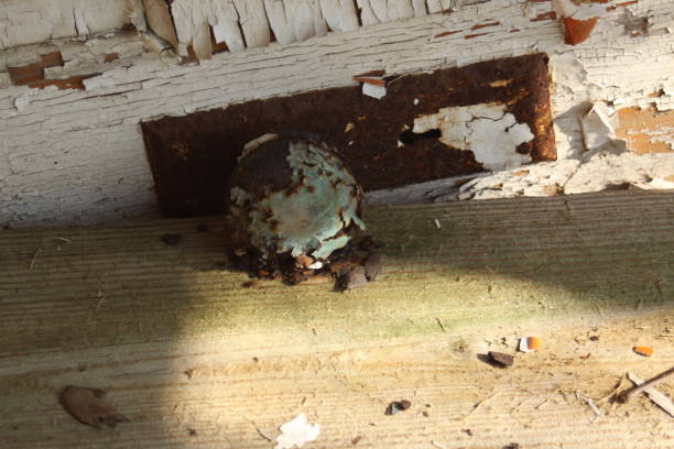 istock abandoned home with door, pealing paint, rusty nob 1132191364