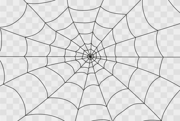 illustrazioni stock, clip art, cartoni animati e icone di tendenza di ragnatela isolata su bianco - spiderman