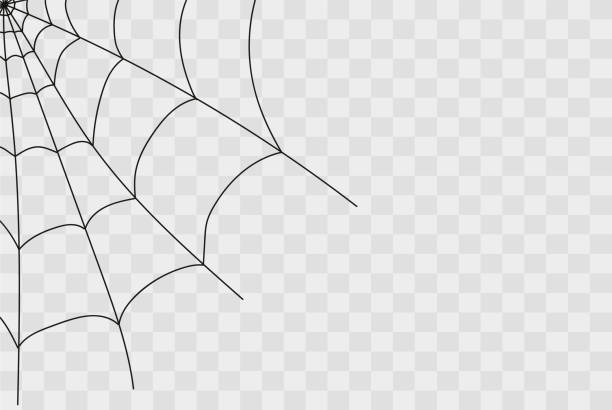 illustrazioni stock, clip art, cartoni animati e icone di tendenza di ragnatela isolata su bianco - spiderman