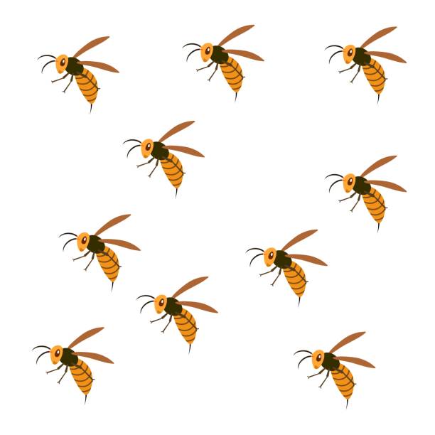Hornet Swarm of a hornet. hornet swarm stock illustrations