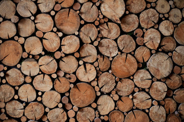 istock Texture.Panels of wood cuts of different diameters. Eco design 1132199212