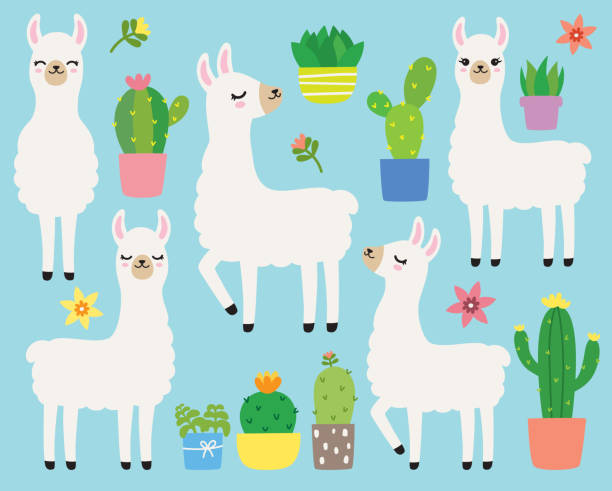 ilustrações de stock, clip art, desenhos animados e ícones de white llamas and cacti vector illustration - cheerful cactus