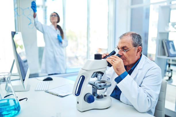 istock Understanding the world is what they do 1132207865