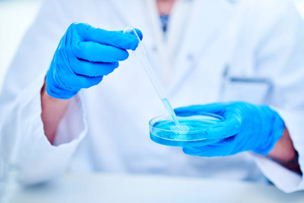 istock All the answers are in this petri dish 1132208532