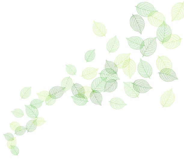 illustrations, cliparts, dessins animés et icônes de illustration d'une danse de feuille de feuille - leaf backgrounds green spring