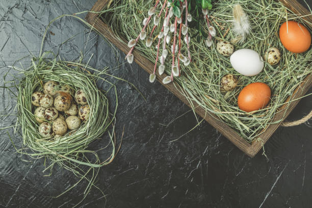 istock Eggs and willow and green branches  in wooden box 1132209133