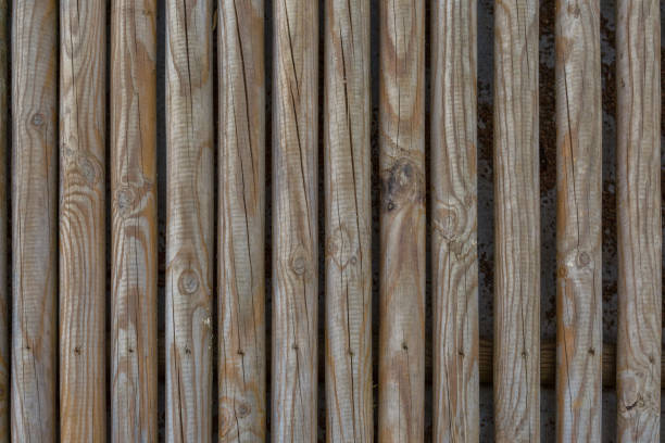 istock Texture wood piles wooden poles 1132210308