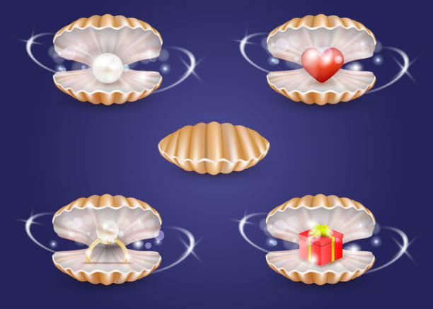ilustraciones, imágenes clip art, dibujos animados e iconos de stock de vector realista conchas perla con joyería y caja de regalo - vector love jewelry pearl