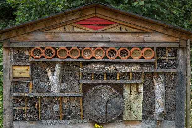 istock Insect Hotel on an meadow 1132210593