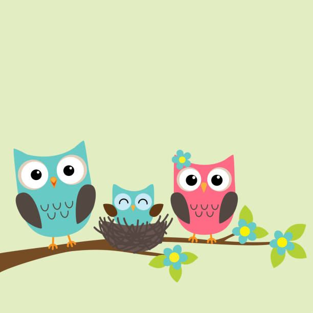 семья сов - birds nest animal nest branch spring stock illustrations
