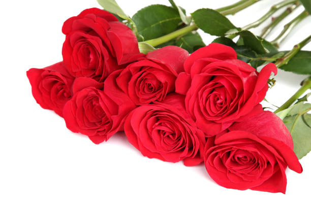istock Bouquet of red roses isolated on white background 1132213421