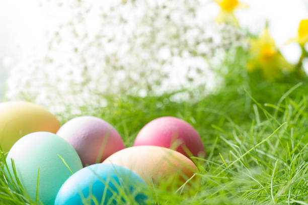 istock Easter colorful eggs on spring meadow in sunlight floral abstract white green  background 1132213431