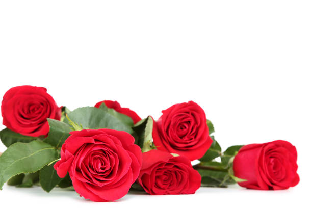 istock Bouquet of red roses isolated on white background 1132213448