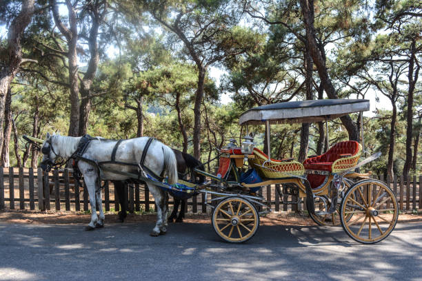 istock cart princess islands istanbul 1132213454