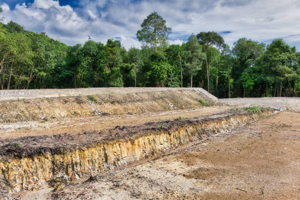 Rubber tree plantation deforestation land clearing terraced field