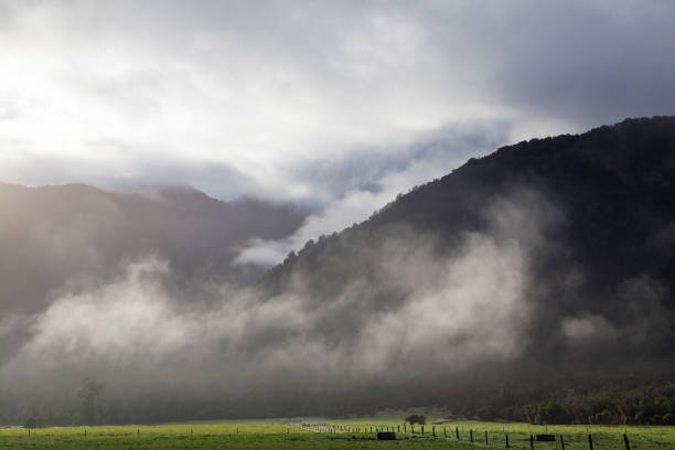 kuvapankkikuvat ja rojaltivapaat kuvat aiheesta sademetsä - uusi-seelanti - westland national park