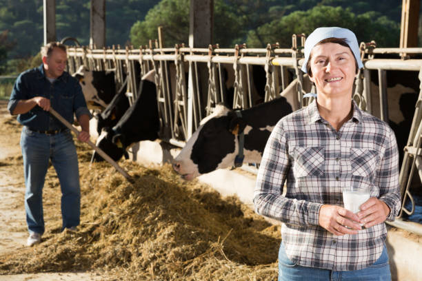 istock Confident female milker with milk on dairy farm 1132222113