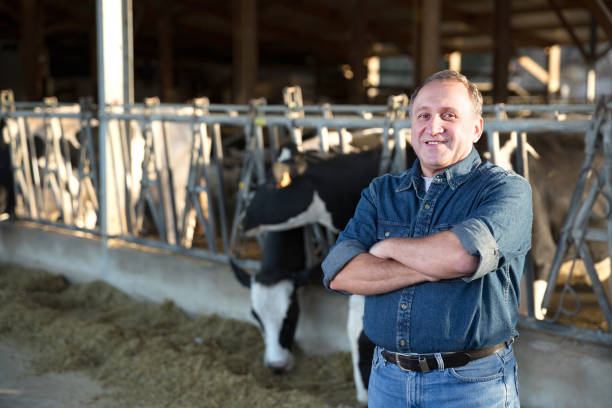 istock Confident man owner of dairy farm 1132222163