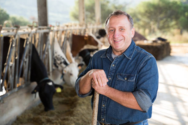 istock Confident man owner of dairy farm 1132222166